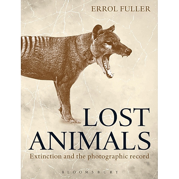 Lost Animals, Errol Fuller
