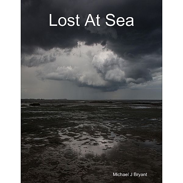 Lost At Sea, Michael J Bryant