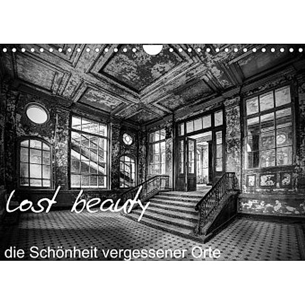 lost beauty (Wandkalender 2022 DIN A4 quer), Jens Schneider