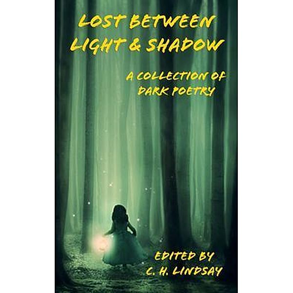 Lost Between Light & Shadow