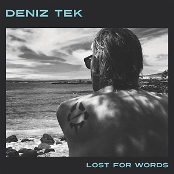 Lost For Words (Vinyl), Deniz Tek