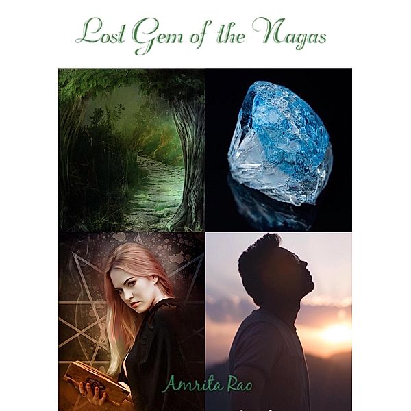 Lost Gem of the Nagas (Archeology Series, #1), Amrita Rao