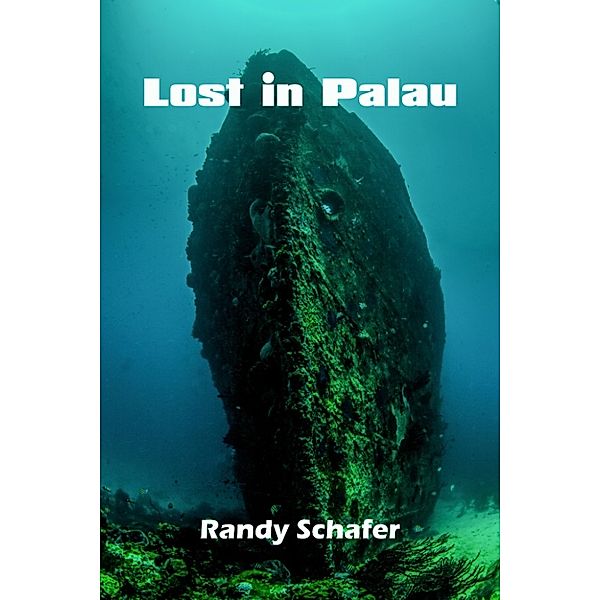 Lost in Palau, Randy Schafer