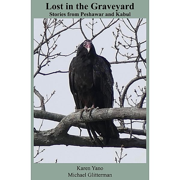 Lost in the Graveyard, Karen Yano, Michael Glitterman