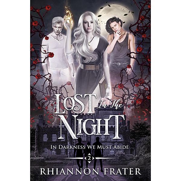 Lost In the Night (In Darkness We Must Abide, #2) / In Darkness We Must Abide, Rhiannon Frater