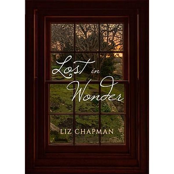 Lost in Wonder / Yellow Heart Book Series, Liz Chapman