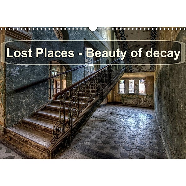 Lost Places - Beauty of decay (Wall Calendar 2023 DIN A3 Landscape), Carina Buchspies