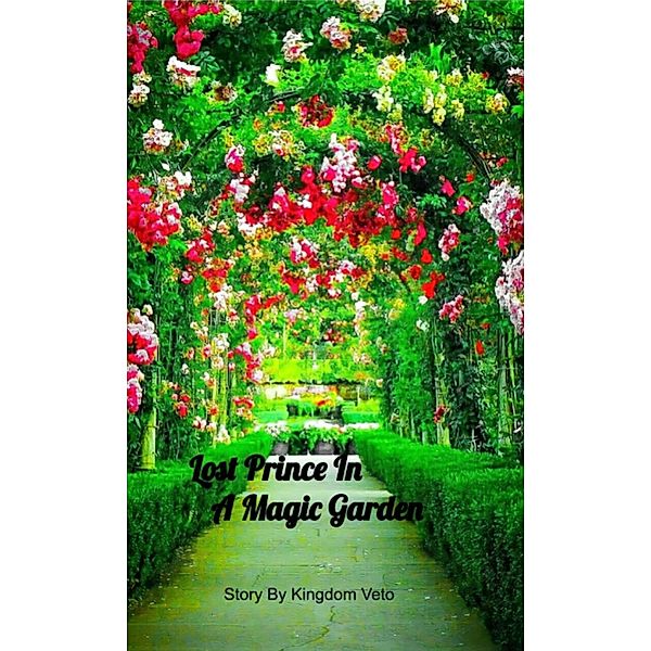 Lost Prince In A Magic Garden, Kingdom B Veto