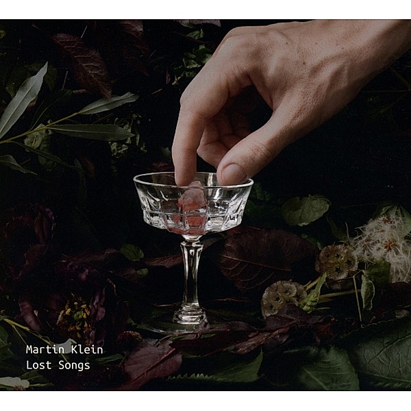 Lost Songs, Martin Klein