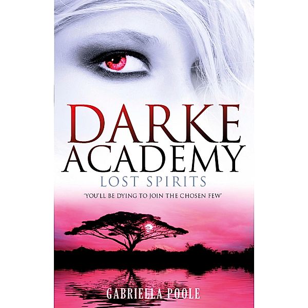 Lost Spirits / Darke Academy Bd.4, Gabriella Poole