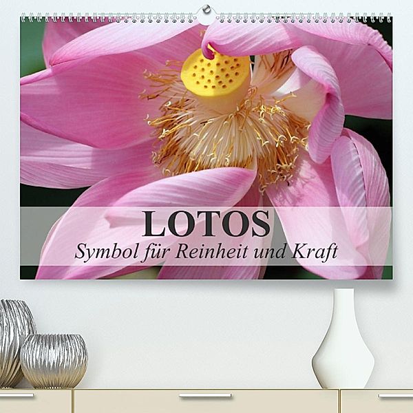 Lotos - Symbol für Reinheit und Kraft (Premium, hochwertiger DIN A2 Wandkalender 2023, Kunstdruck in Hochglanz), Elisabeth Stanzer