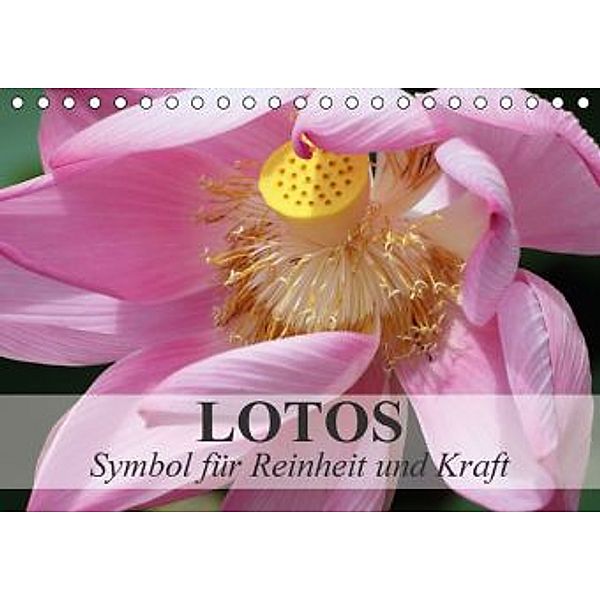 Lotos - Symbol für Reinheit und Kraft (Tischkalender 2016 DIN A5 quer), Elisabeth Stanzer