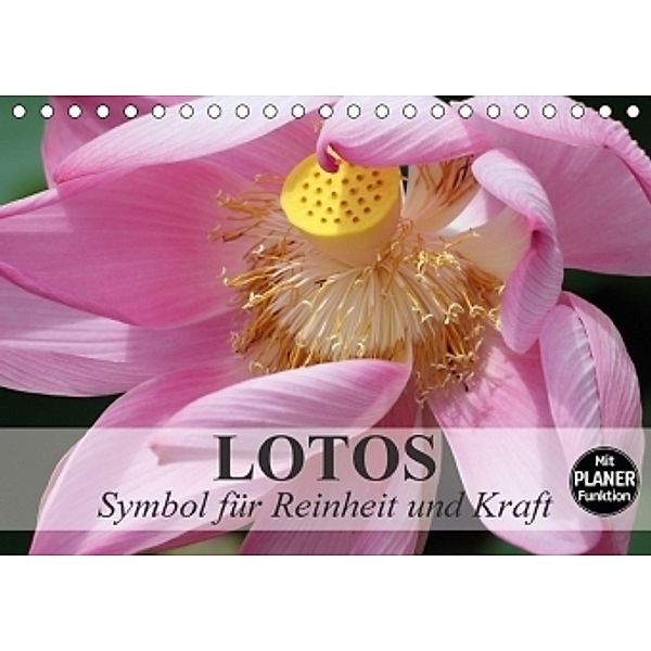 Lotos. Symbol für Reinheit und Kraft (Tischkalender 2017 DIN A5 quer), Elisabeth Stanzer