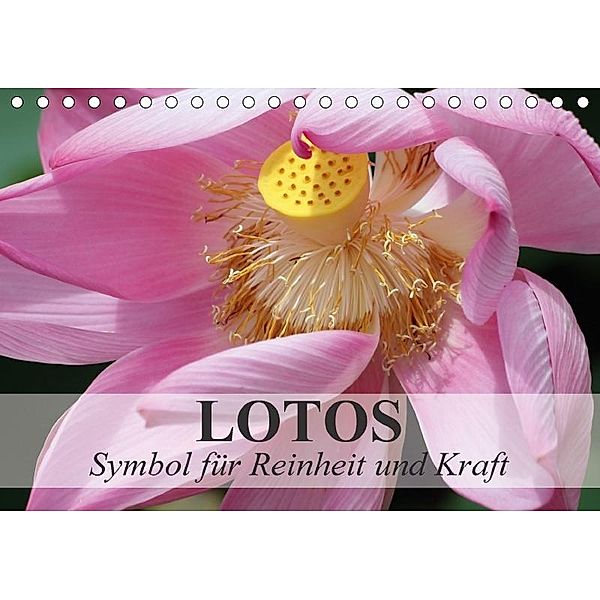 Lotos - Symbol für Reinheit und Kraft (Tischkalender 2017 DIN A5 quer), Elisabeth Stanzer