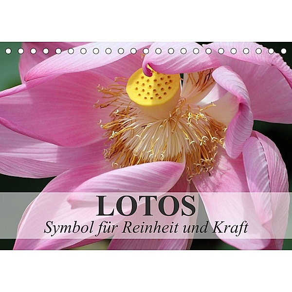 Lotos - Symbol für Reinheit und Kraft (Tischkalender 2023 DIN A5 quer), Elisabeth Stanzer