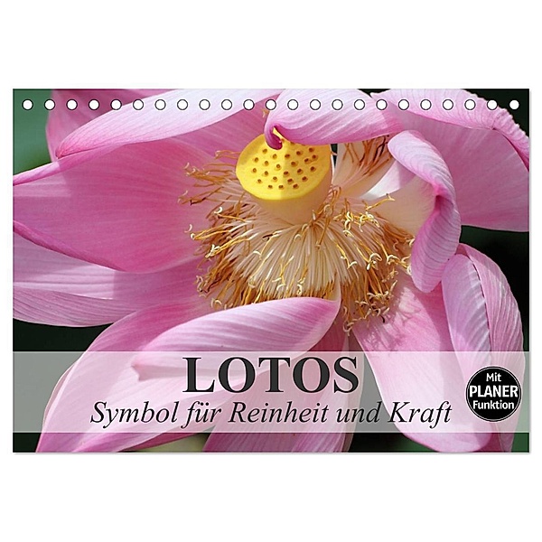 Lotos. Symbol für Reinheit und Kraft (Tischkalender 2024 DIN A5 quer), CALVENDO Monatskalender, Elisabeth Stanzer