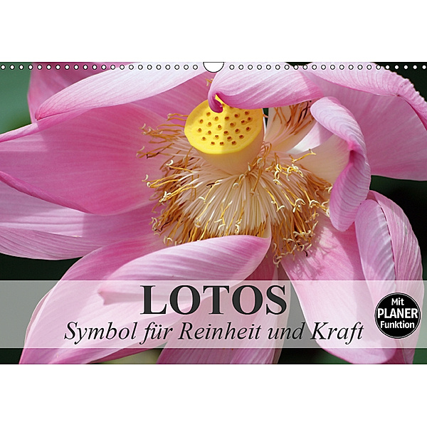 Lotos. Symbol für Reinheit und Kraft (Wandkalender 2019 DIN A3 quer), Elisabeth Stanzer