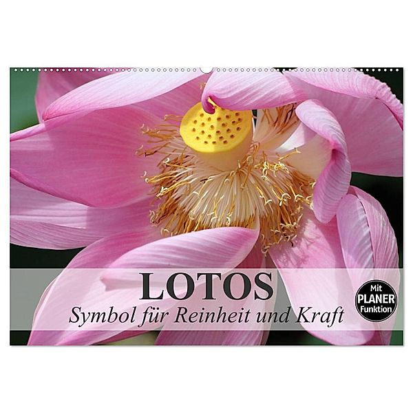 Lotos. Symbol für Reinheit und Kraft (Wandkalender 2025 DIN A2 quer), CALVENDO Monatskalender, Calvendo, Elisabeth Stanzer