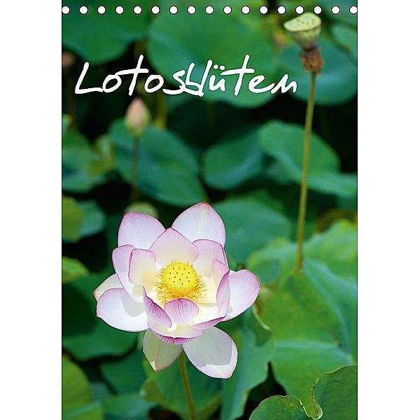 Lotosblüten (Tischkalender 2017 DIN A5 hoch), Dr. Dirk Schlottmann, Dirk Schlottmann