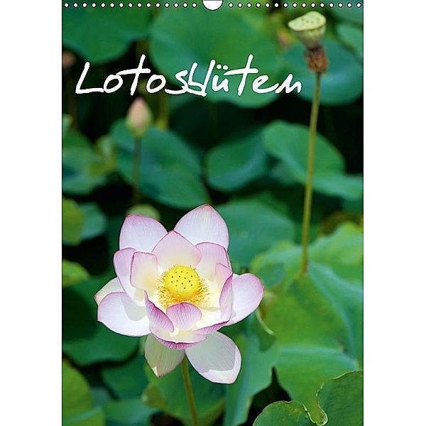 Lotosblüten (Wandkalender 2018 DIN A3 hoch), Dirk Schlottmann