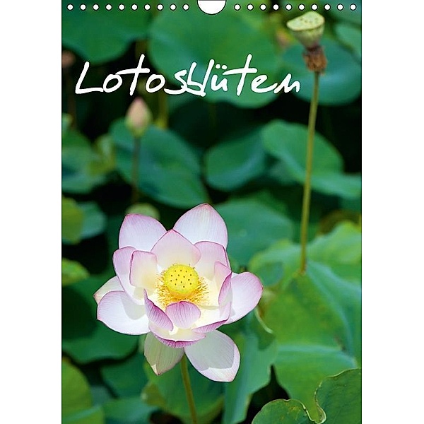 Lotosblüten (Wandkalender 2018 DIN A4 hoch), Dirk Schlottmann