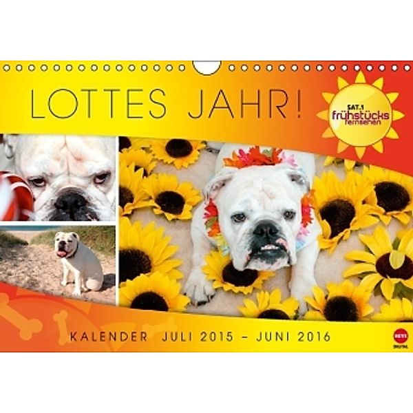 Lottes Jahr (Wandkalender 2016 DIN A4 quer), ProSiebenSat.1