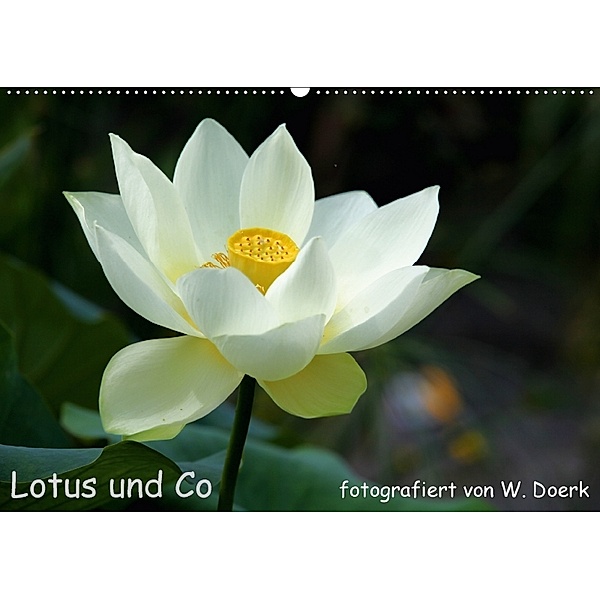 Lotus und Co (Wandkalender 2018 DIN A2 quer) Dieser erfolgreiche Kalender wurde dieses Jahr mit gleichen Bildern und akt, Wiltrud Doerk