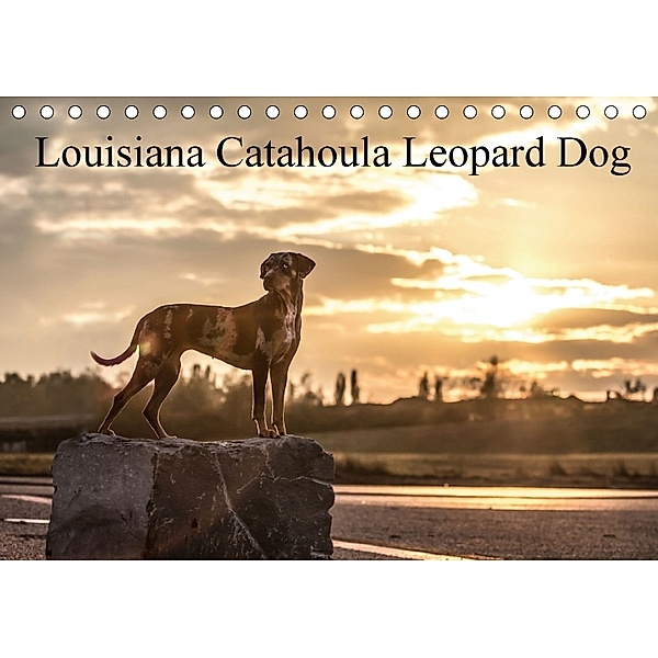 Louisiana Catahoula Leopard Dog 2018 (Tischkalender 2018 DIN A5 quer), Catahouligan on Tour