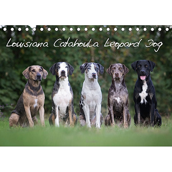 Lousiana Catahoula Leopard (Tischkalender 2019 DIN A5 quer), Catahouligan on Tour