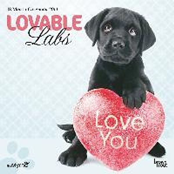 Lovable Labs