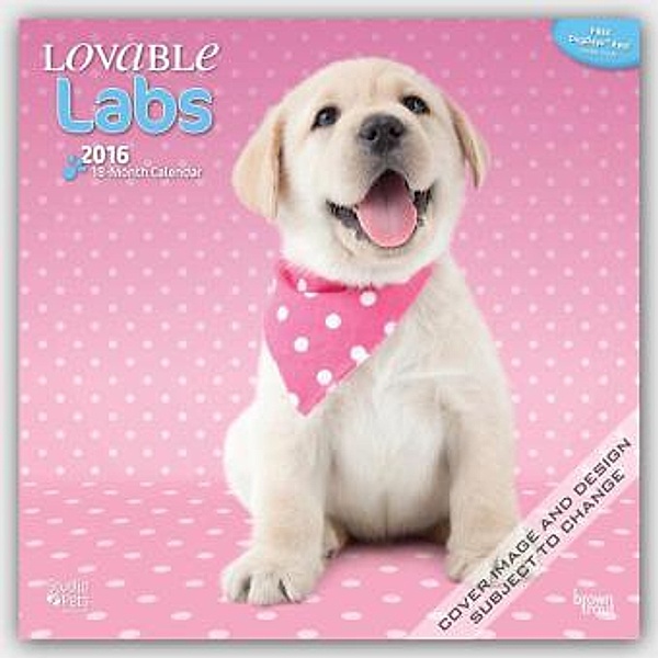 Lovable Labs 2016