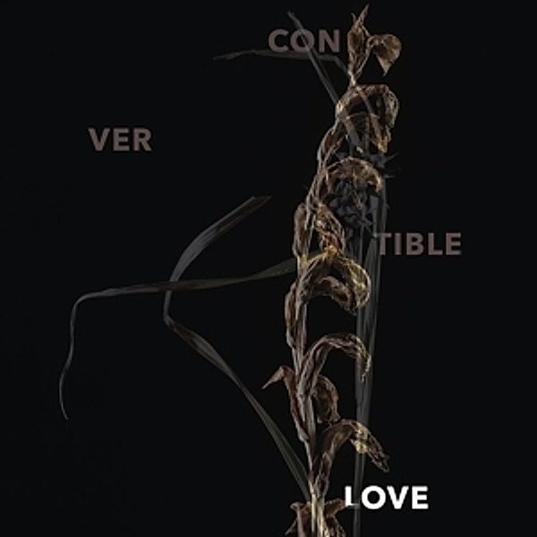 Love (7'' Single), Convertible