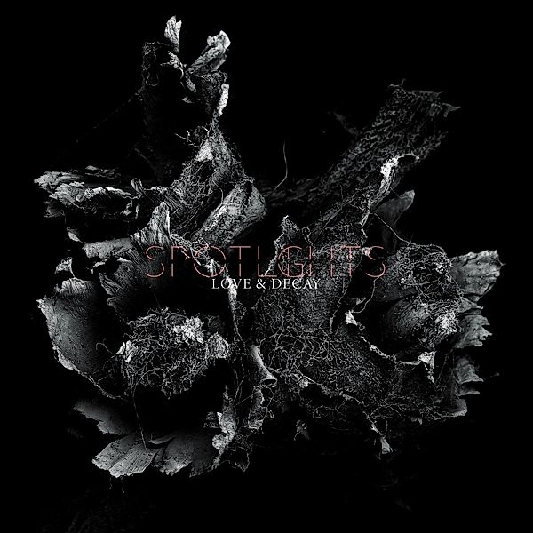 Love & Decay (2lp,Hellviolette) (Vinyl), Spotlights