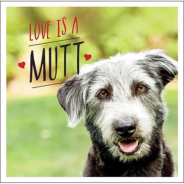 Love is a Mutt, Charlie Ellis