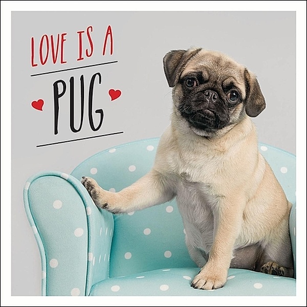 Love is a Pug, Charlie Ellis