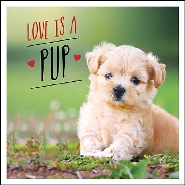 Love is a Pup, Charlie Ellis