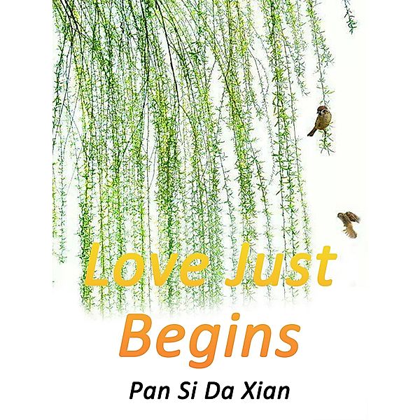Love Just Begins, Pan Sidaxian