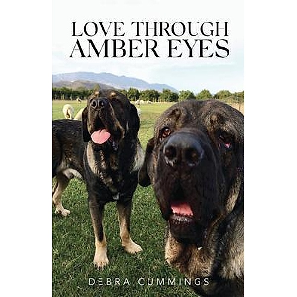 Love Through Amber Eyes / Debra Cummings, Debra Cummings
