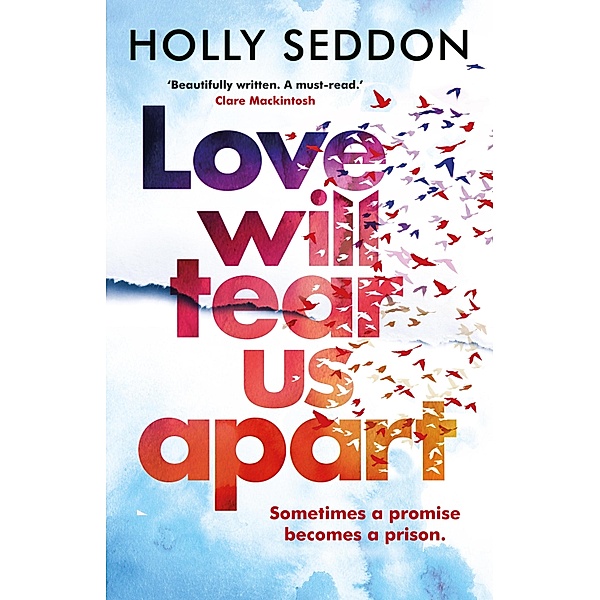 Love Will Tear Us Apart, Holly Seddon