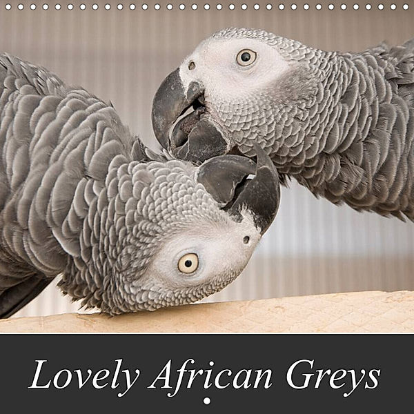 Lovely African Greys (Wall Calendar 2023 300 × 300 mm Square), Nadine Keller