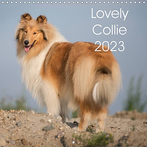 Lovely Collie 2023 (Wall Calendar 2023 300 × 300 mm Square), Kerstin Benz