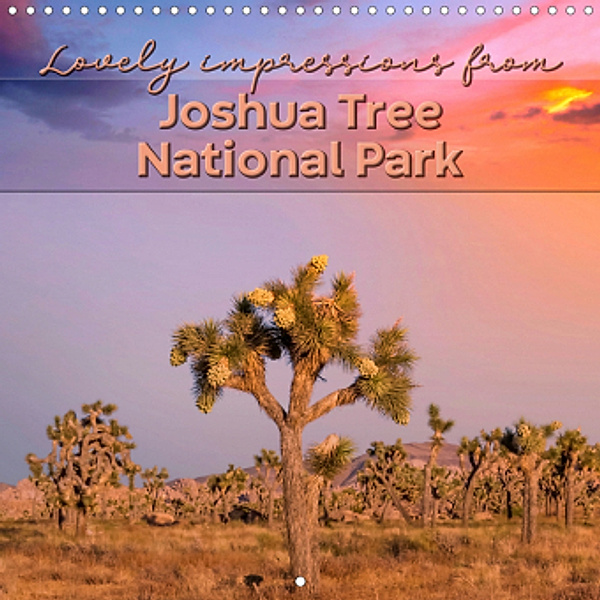 Lovely impressions from Joshua Tree National Park (Wall Calendar 2021 300 × 300 mm Square), Melanie Viola