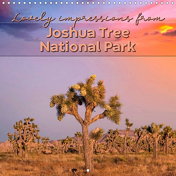 Lovely impressions from Joshua Tree National Park (Wall Calendar 2023 300 × 300 mm Square), Melanie Viola