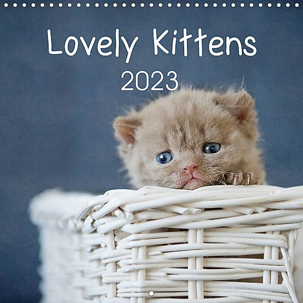 Lovely Kittens 2023 (Wall Calendar 2023 300 × 300 mm Square), Heidi Bollich