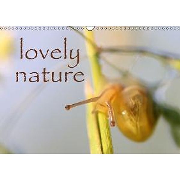 lovely nature (Wandkalender 2016 DIN A3 quer), Caroline Walter