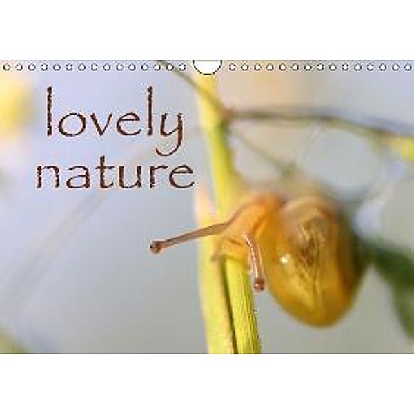 lovely nature (Wandkalender 2016 DIN A4 quer), Caroline Walter