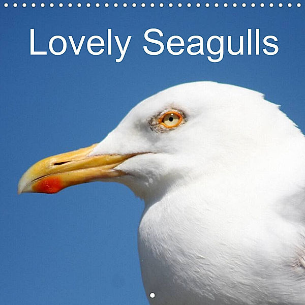 Lovely Seagulls (Wall Calendar 2023 300 × 300 mm Square), Schnellewelten
