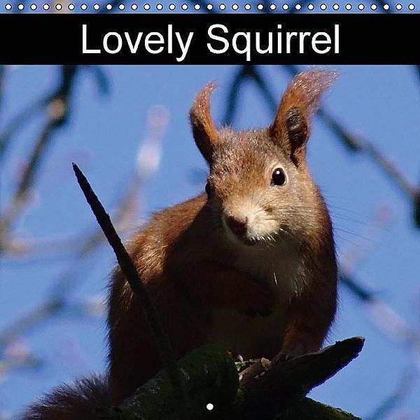 Lovely Squirrel (Wall Calendar 2017 300 × 300 mm Square), Kattobello, k.A. kattobello