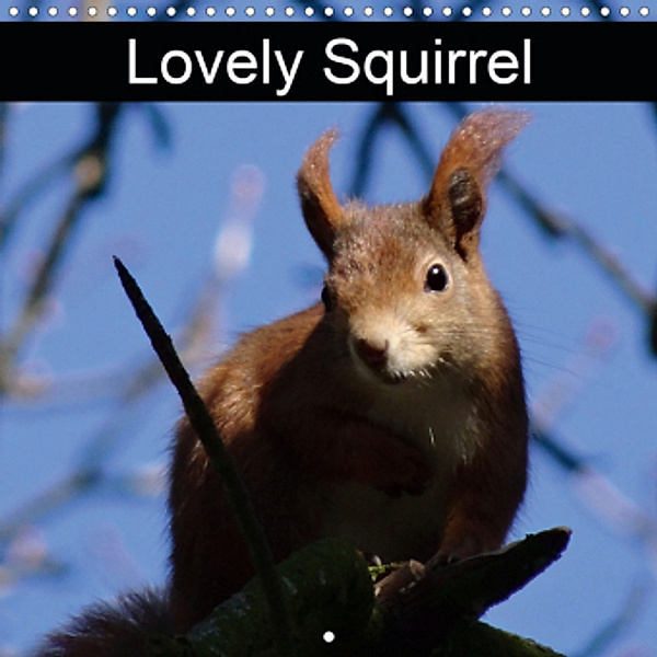 Lovely Squirrel (Wall Calendar 2021 300 × 300 mm Square)