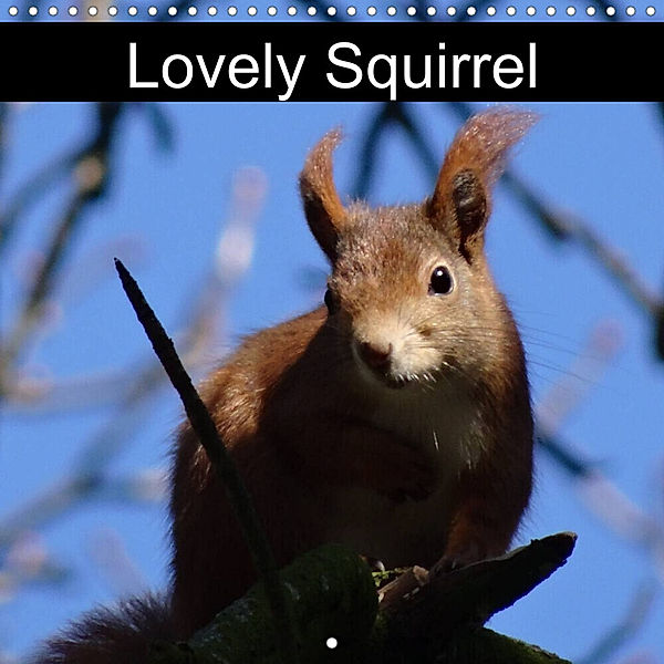 Lovely Squirrel (Wall Calendar 2023 300 × 300 mm Square), Kattobello